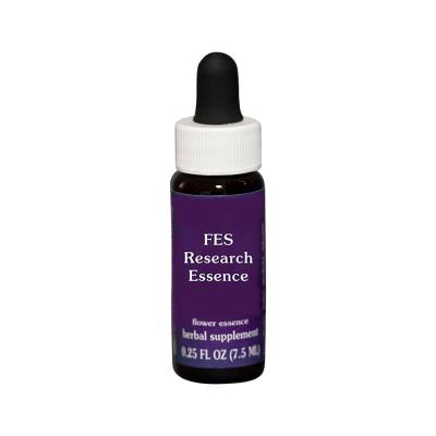 FES Organic Research Flower Essence Chicory 7.5ml